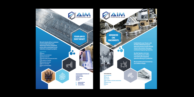 Aim Flyer Examples (1)