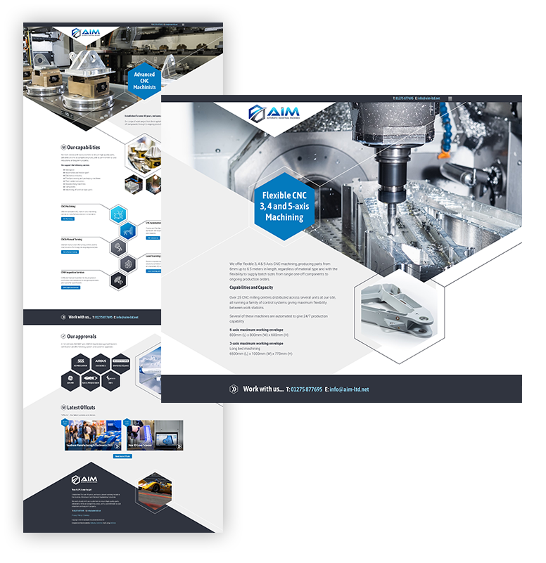 Examples of the AIM website design