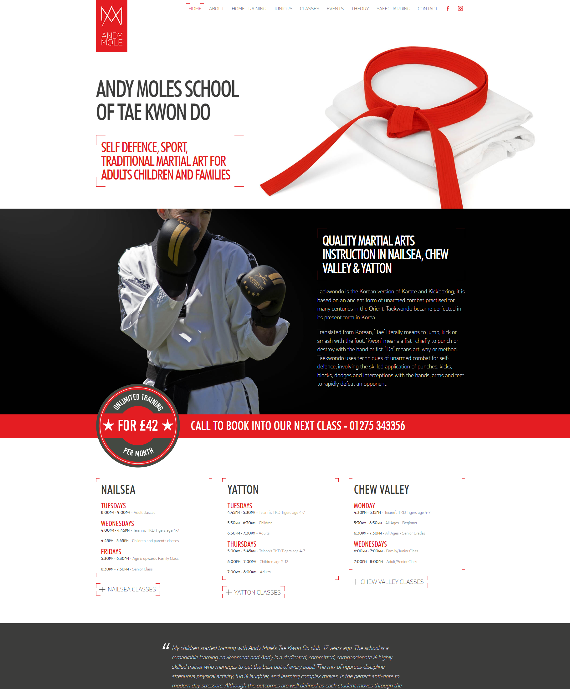 Example design from Andy Mole TaeKwonDo