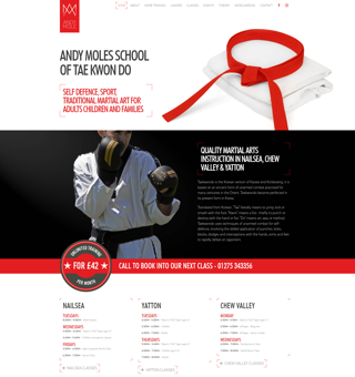 Andy Mole Tae Kwon Do - Screenshot of website created by mohunky showing landing/welcome page to website. Man with punching gloves ready to fight